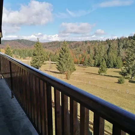 Apartman Milija *