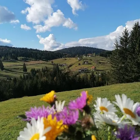 Milija * Bajina Basta