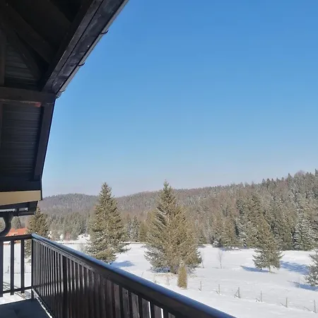 Milija Apartman Bajina Bašta