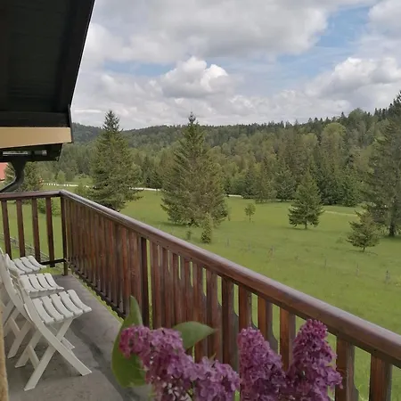 Milija باغينا باستا