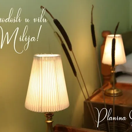 Apartman Milija *